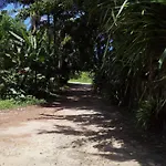 Laguna